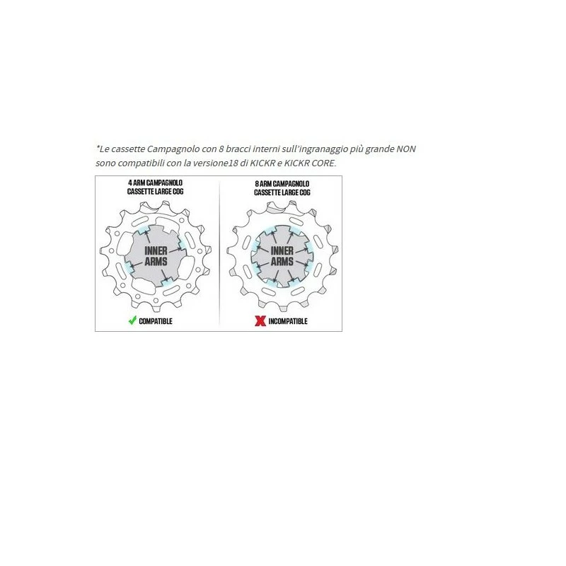 Corpetto Ruota Libera 11/12 Velocità Campagnolo Wahoo Kickr - immagine 3